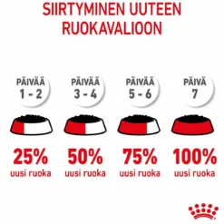 Royal Canin Kitten Gravy 85g, 48-pack