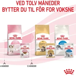 Royal Canin Kitten Gravy 85g, 48-pack