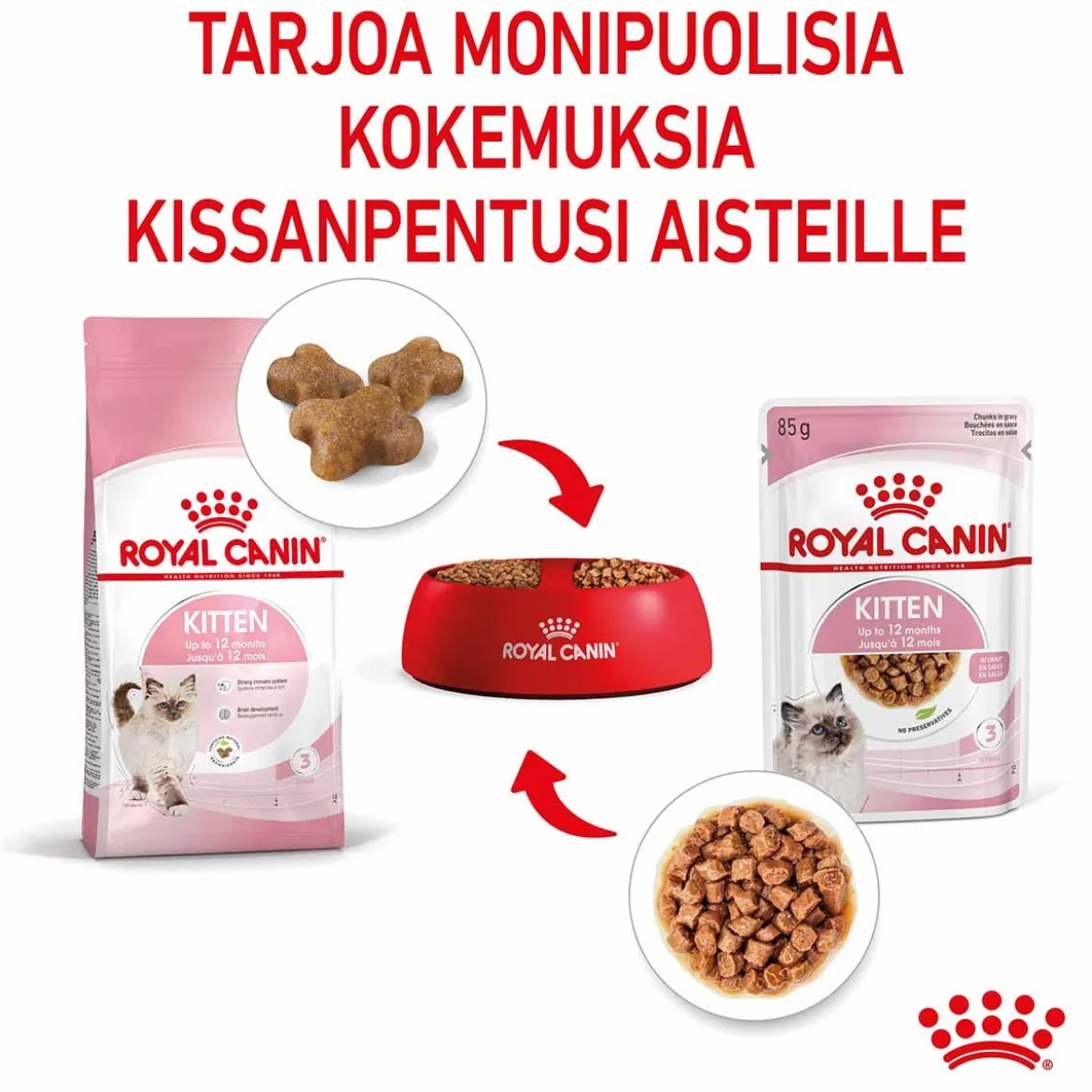 Royal Canin Kitten Gravy, 12x85g