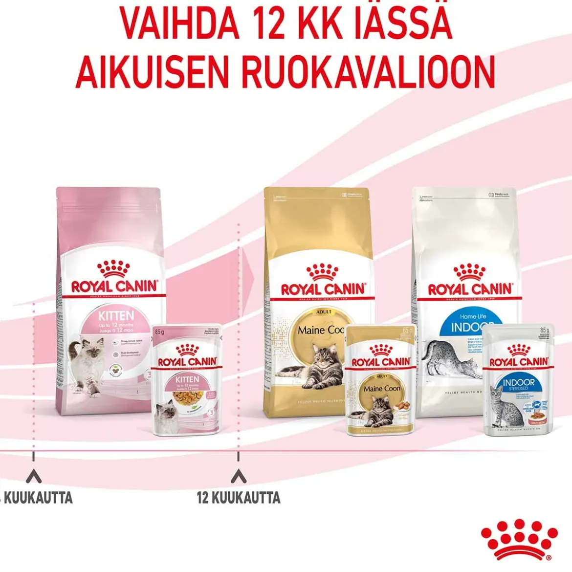 Royal Canin Kitten Jelly, 12x85g