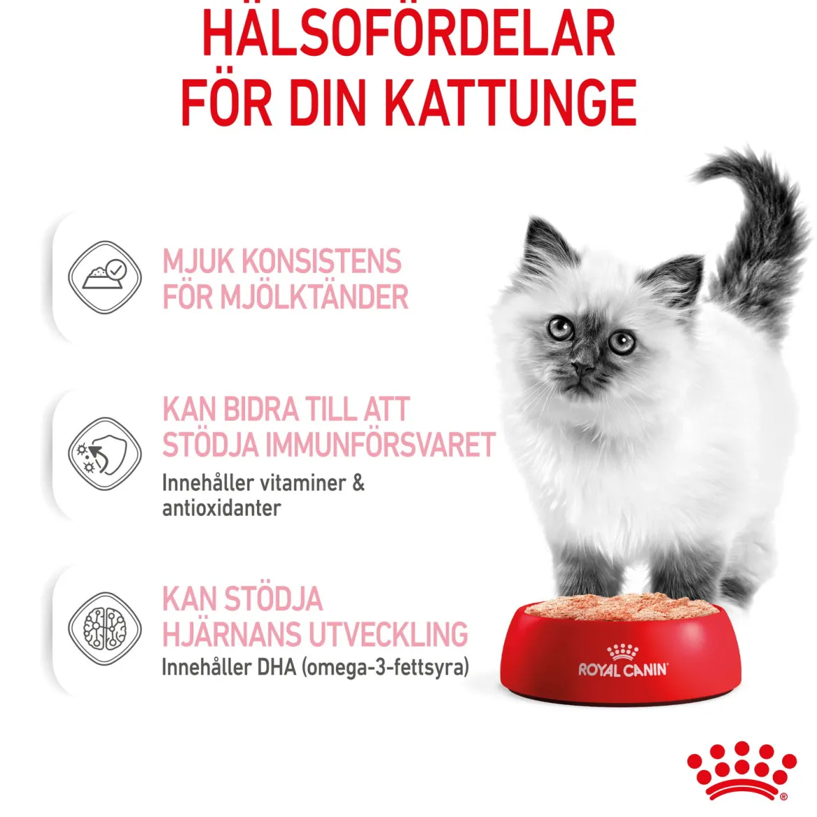 Royal Canin Kitten Loaf 85g, 48-pack