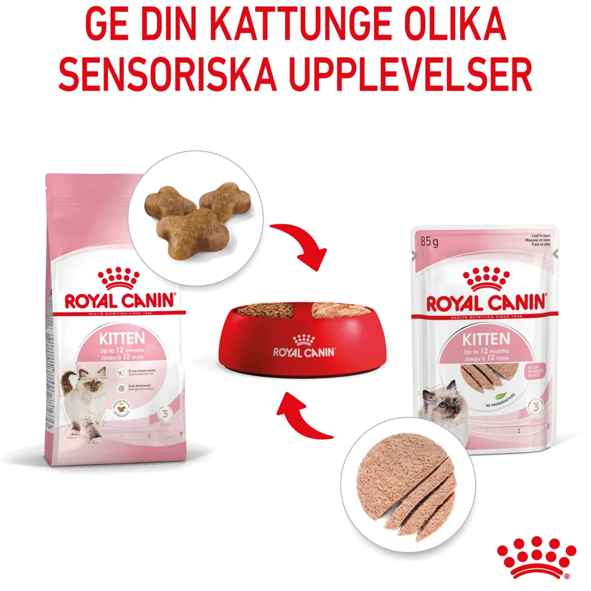 Royal Canin Kitten Loaf 85g, 48-pack