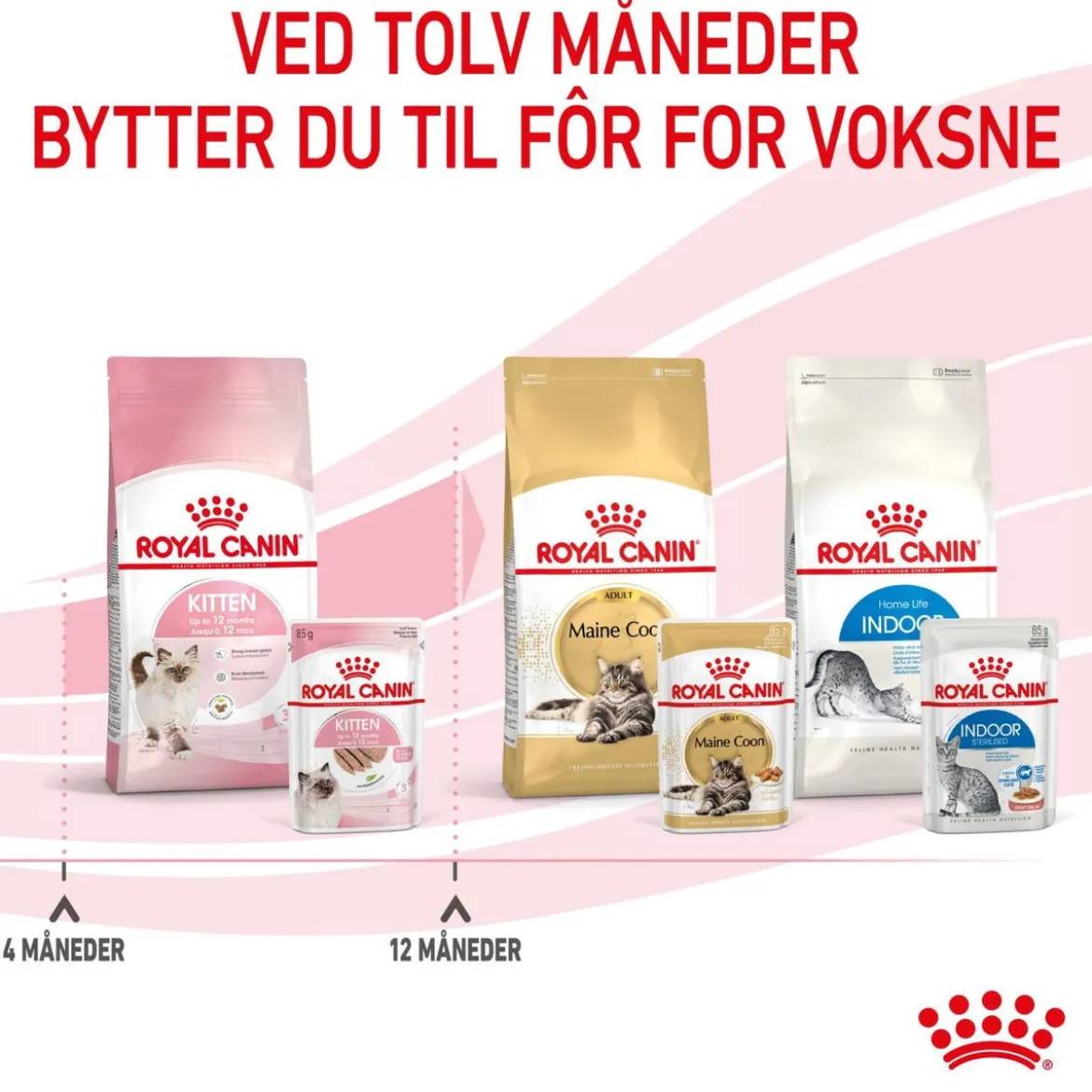 Royal Canin Kitten Loaf 85g, 48-pack