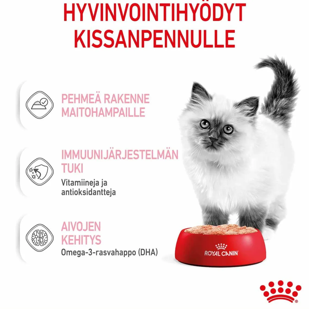 Royal Canin Kitten Loaf 85g, 48-pack