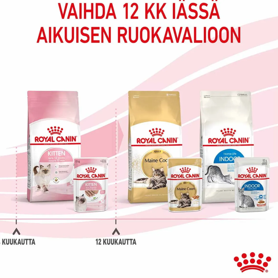 Royal Canin Kitten Loaf, 12x85g