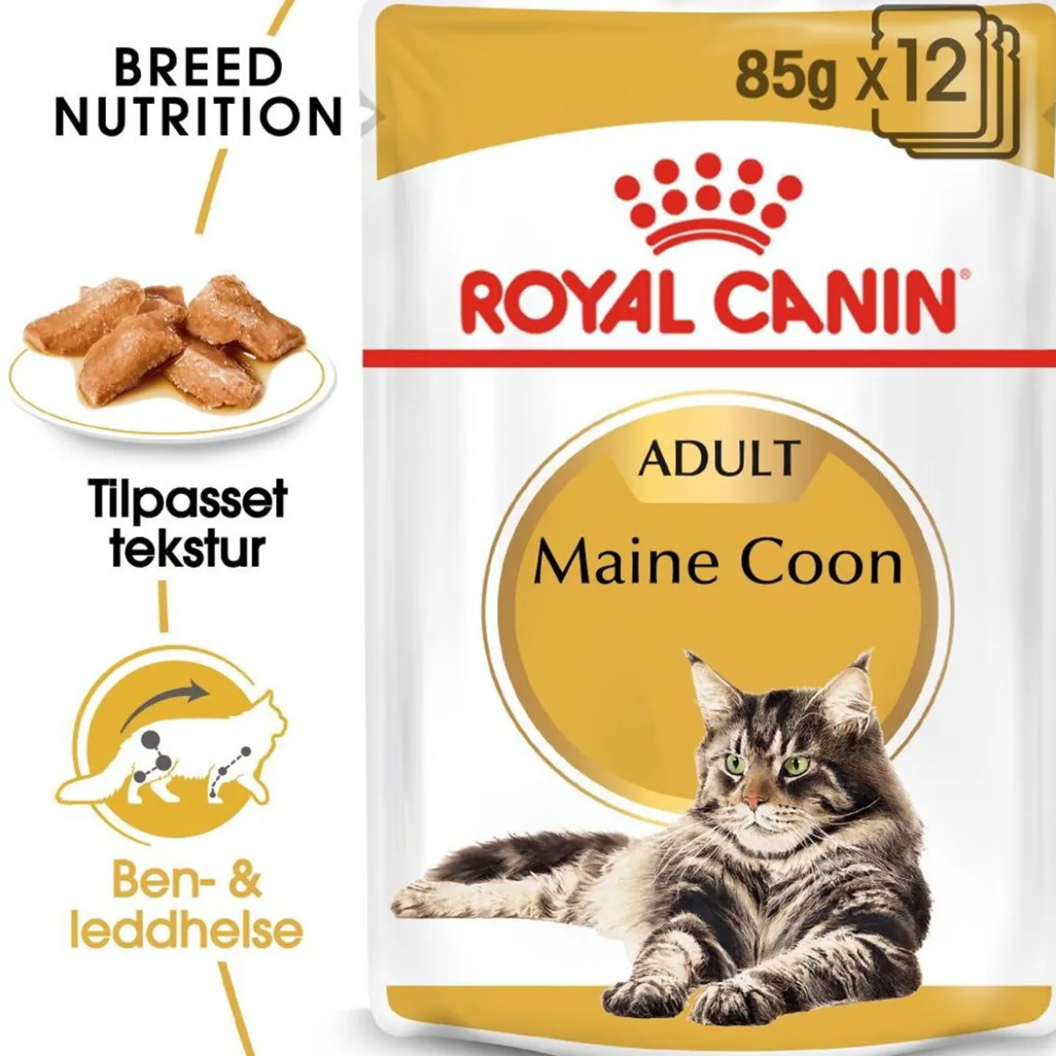 Royal Canin Maine Coon 85g, 48-pack