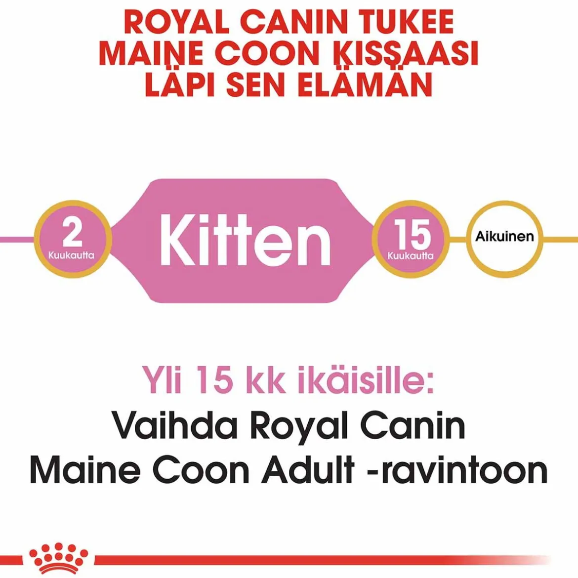Royal Canin Maine Coon Kitten