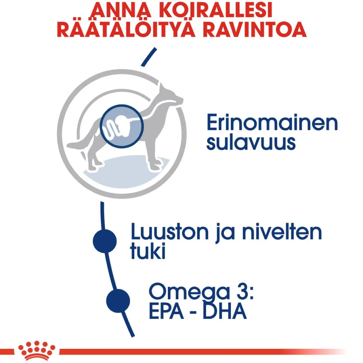 Royal Canin Maxi Adult