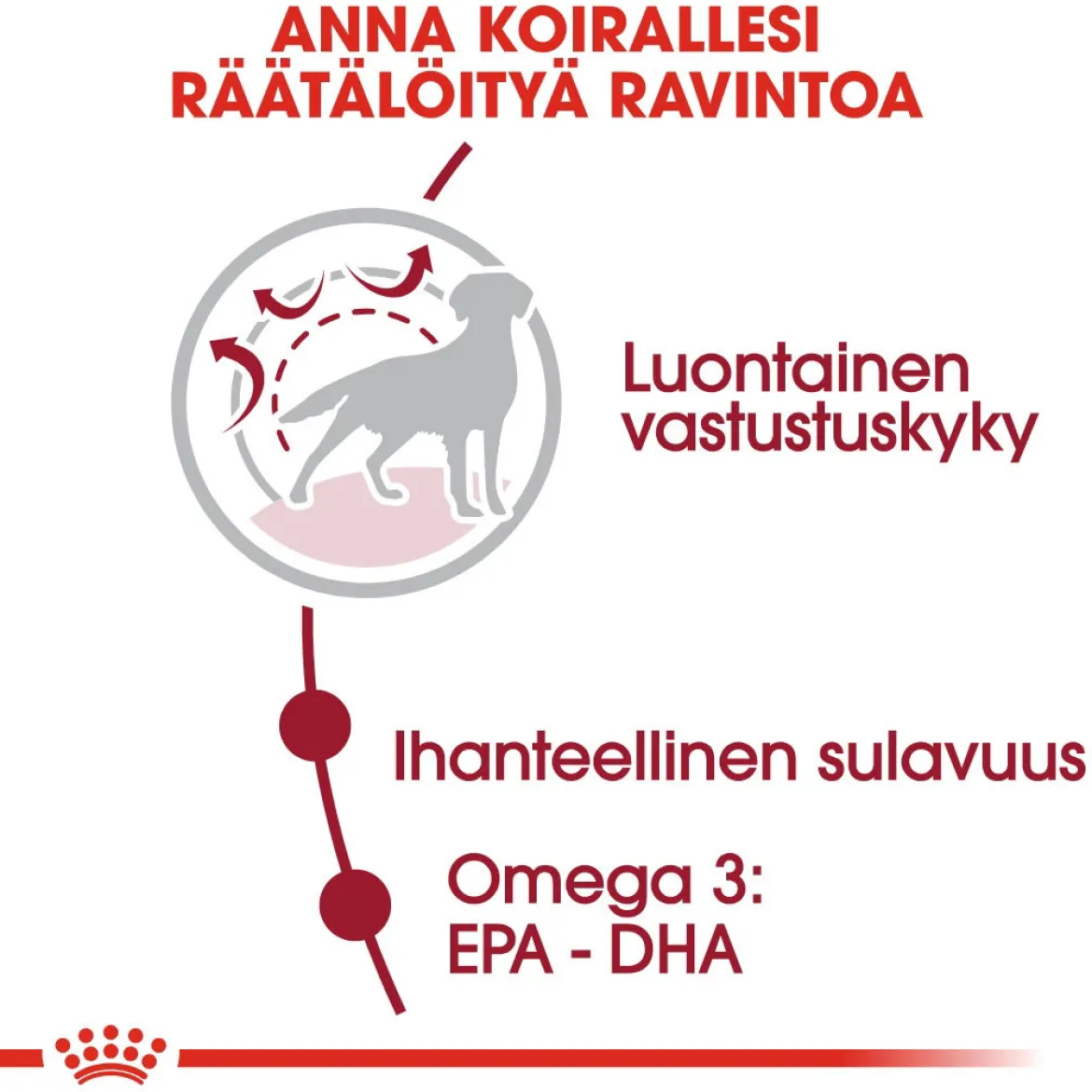 Royal Canin Medium Adult