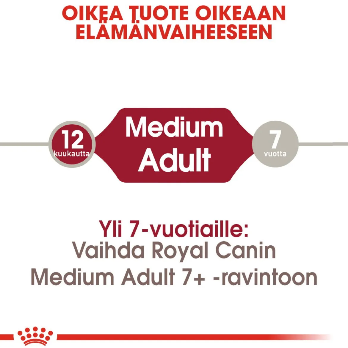 Royal Canin Medium Adult