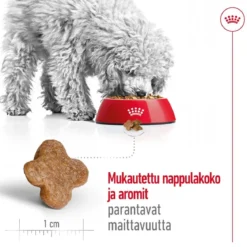 Royal Canin Mini Adult 8+