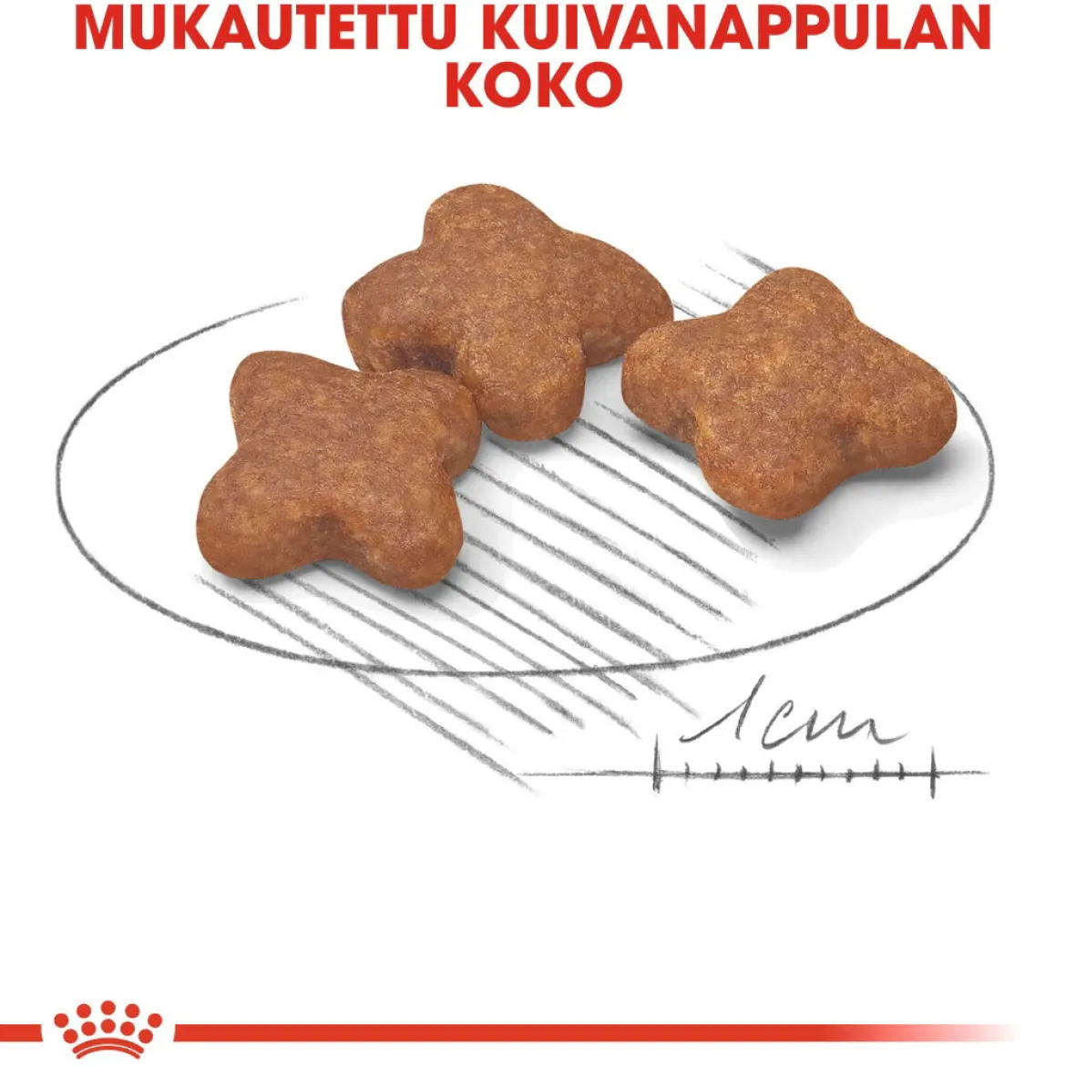 Royal Canin Mini Adult 8+