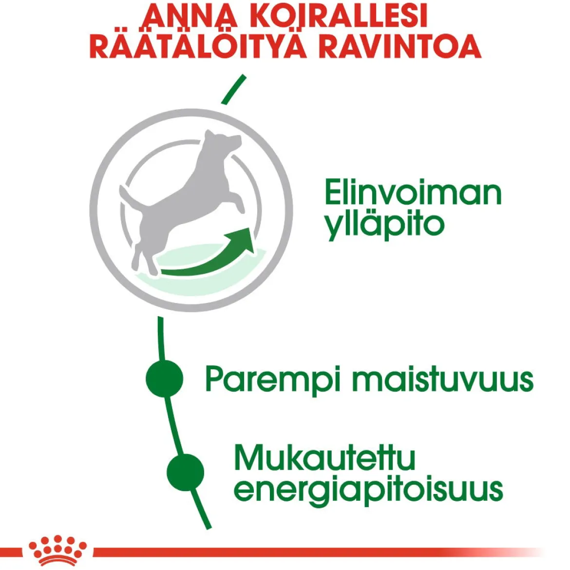 Royal Canin Mini Adult 8+