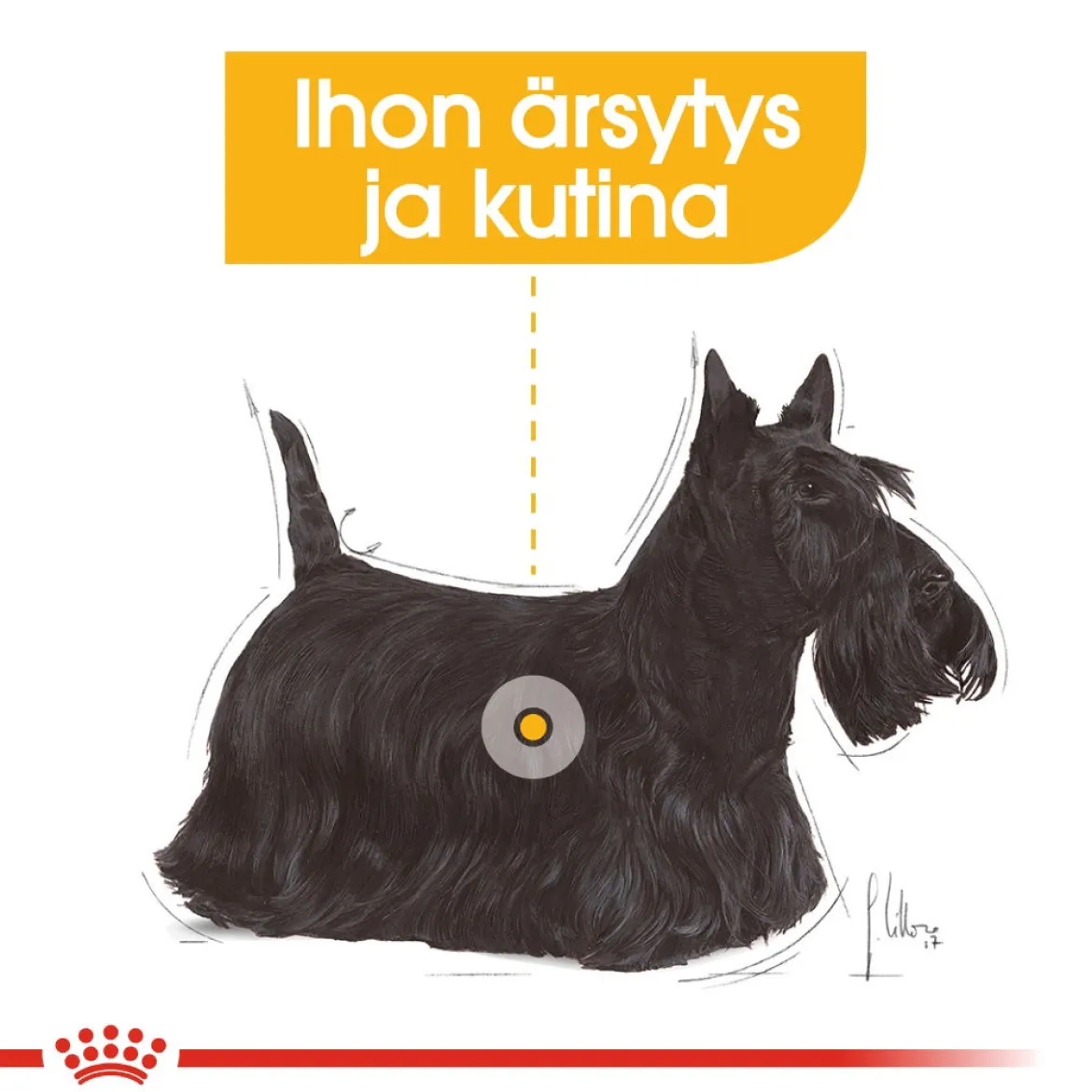 Royal Canin Mini Dermacomfort