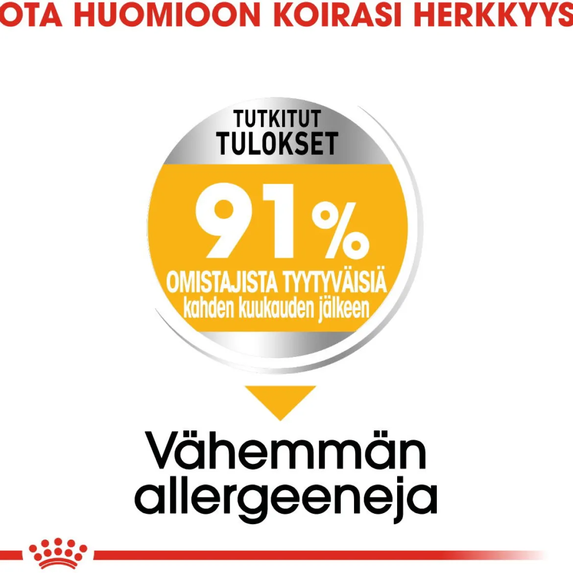 Royal Canin Mini Dermacomfort