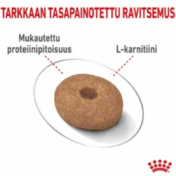 Royal Canin Mini Light Weight Care