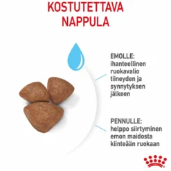 Royal Canin Mini Starter