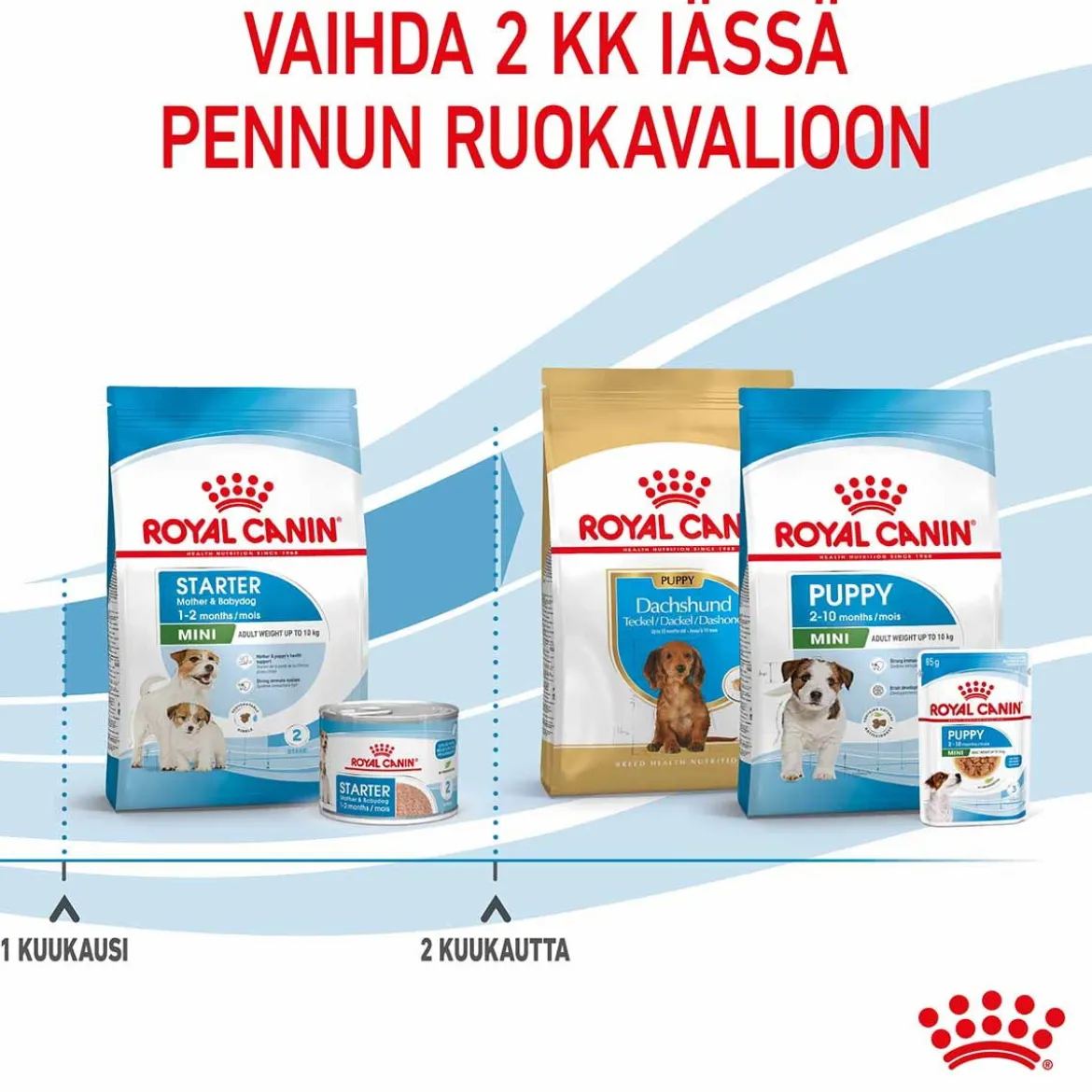 Royal Canin Mini Starter
