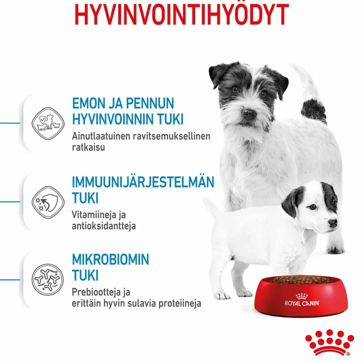 Royal Canin Mini Starter