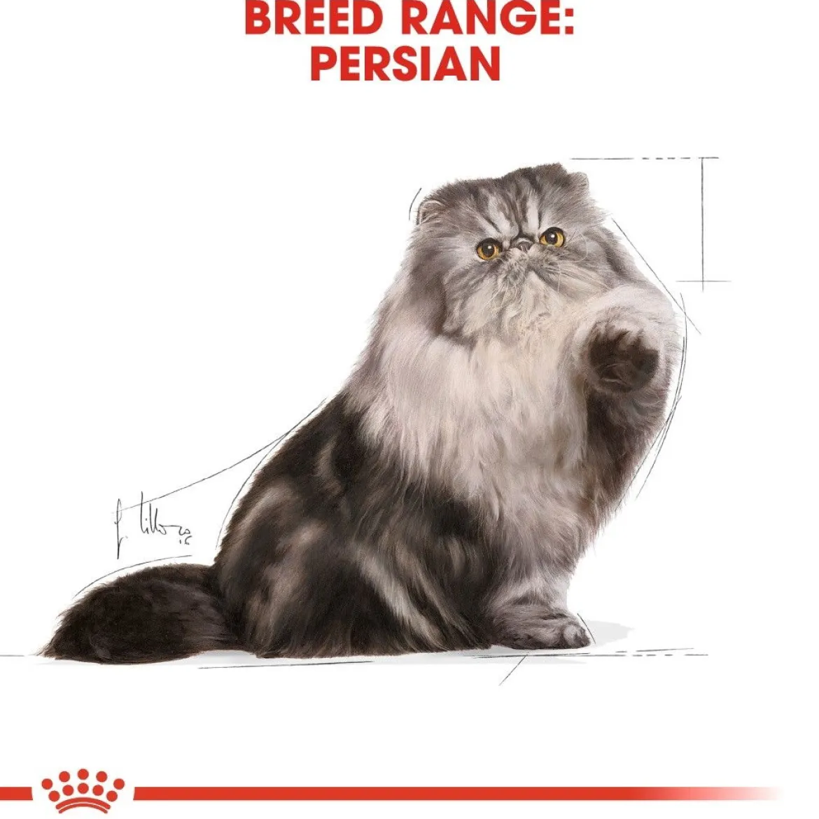 Royal Canin Persian Loaf 85g, 48-pack