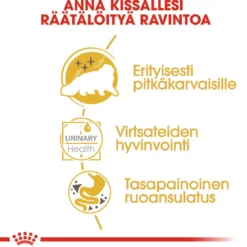 Royal Canin Persian Wet