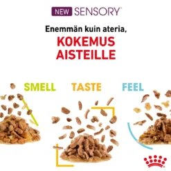 Royal Canin Sensory Feel Gravy 85g, 48-pack