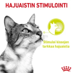 Royal Canin Sensory Smell Gravy, 12x85g