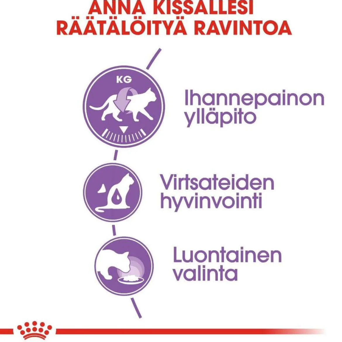 Royal Canin Sterilised Jelly 85g, 48-pack