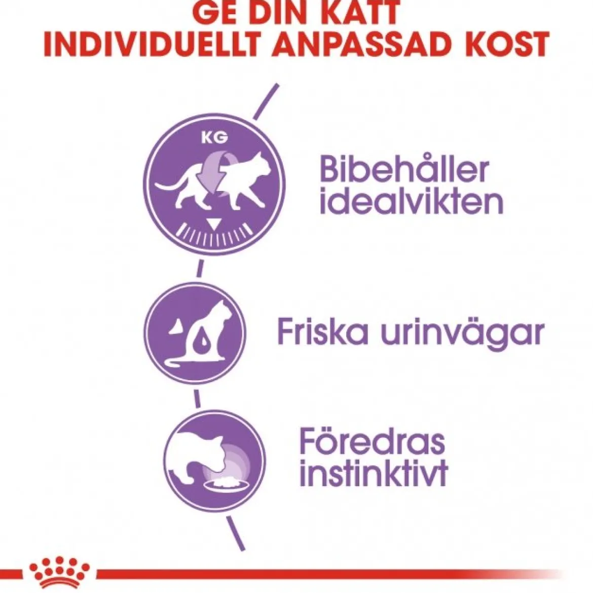 Royal Canin Sterilised Jelly 85g, 48-pack