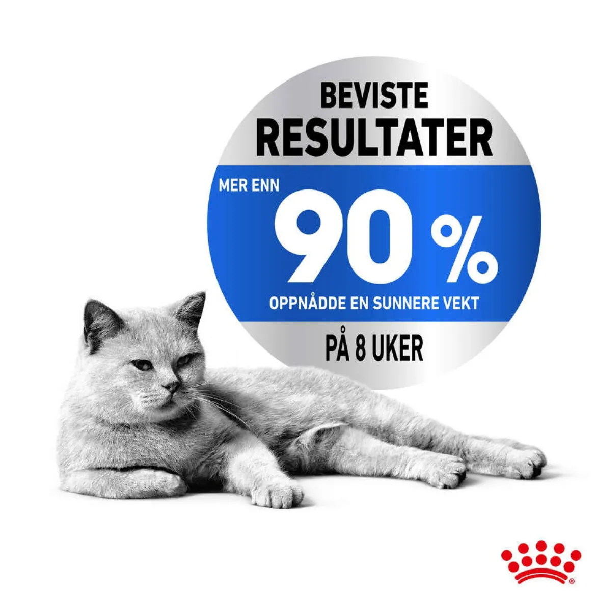 Royal Canin Ultra Light Jelly 85g, 48-pack