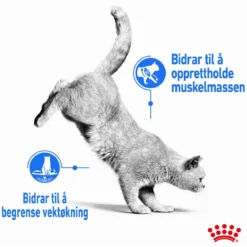 Royal Canin Ultra Light Jelly 85g, 48-pack