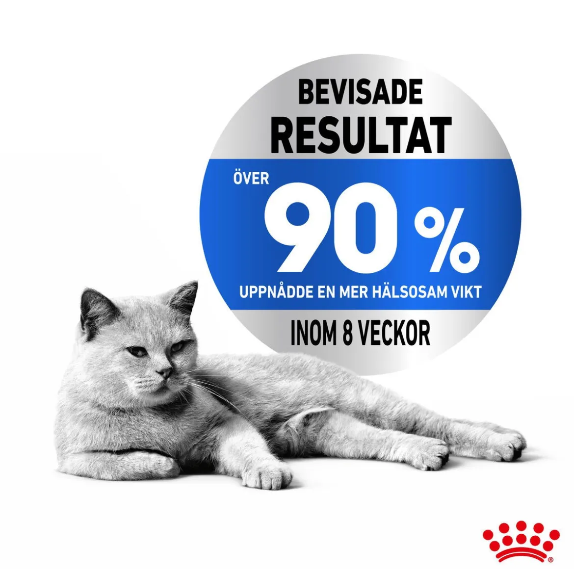 Royal Canin Ultra Light Jelly 85g, 48-pack