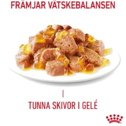 Royal Canin Ultra Light Jelly 85g, 48-pack