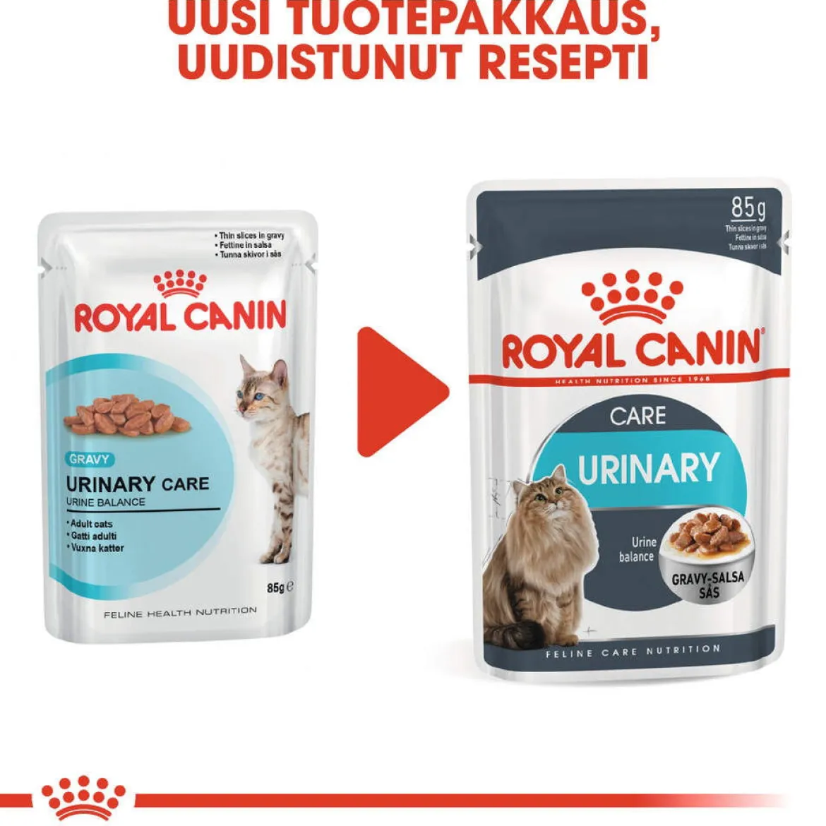 Royal Canin Urinary Care Gravy 85g, 48-pack