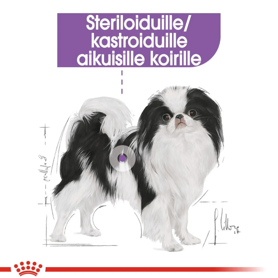 Royal Canin X-Small Sterilised 1,5 kg