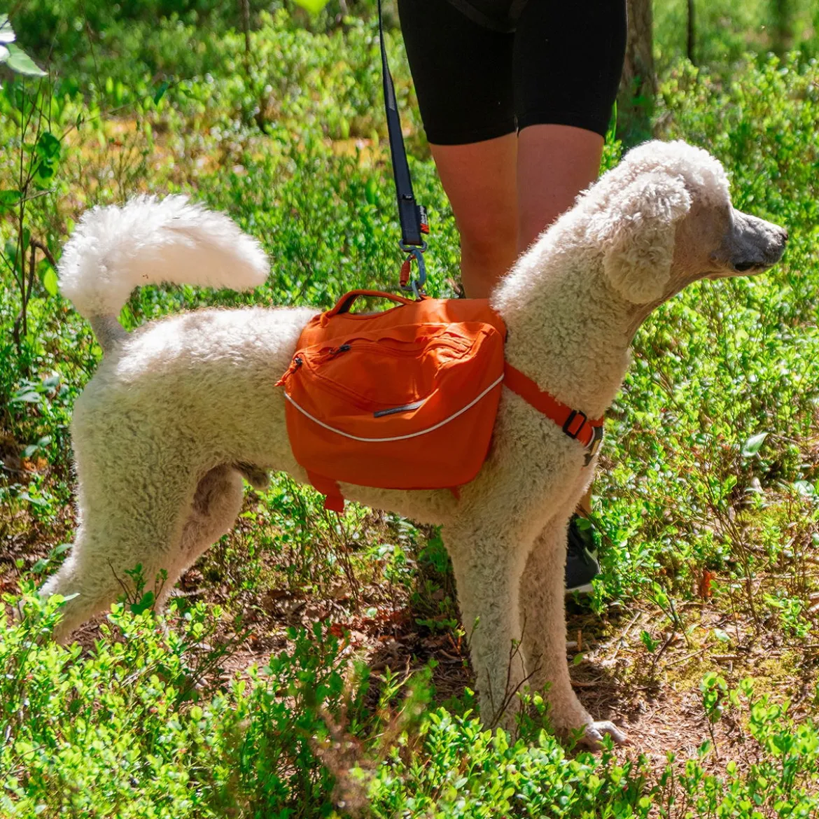 Ruffwear Approach Pack reppu koiralle, oranssi
