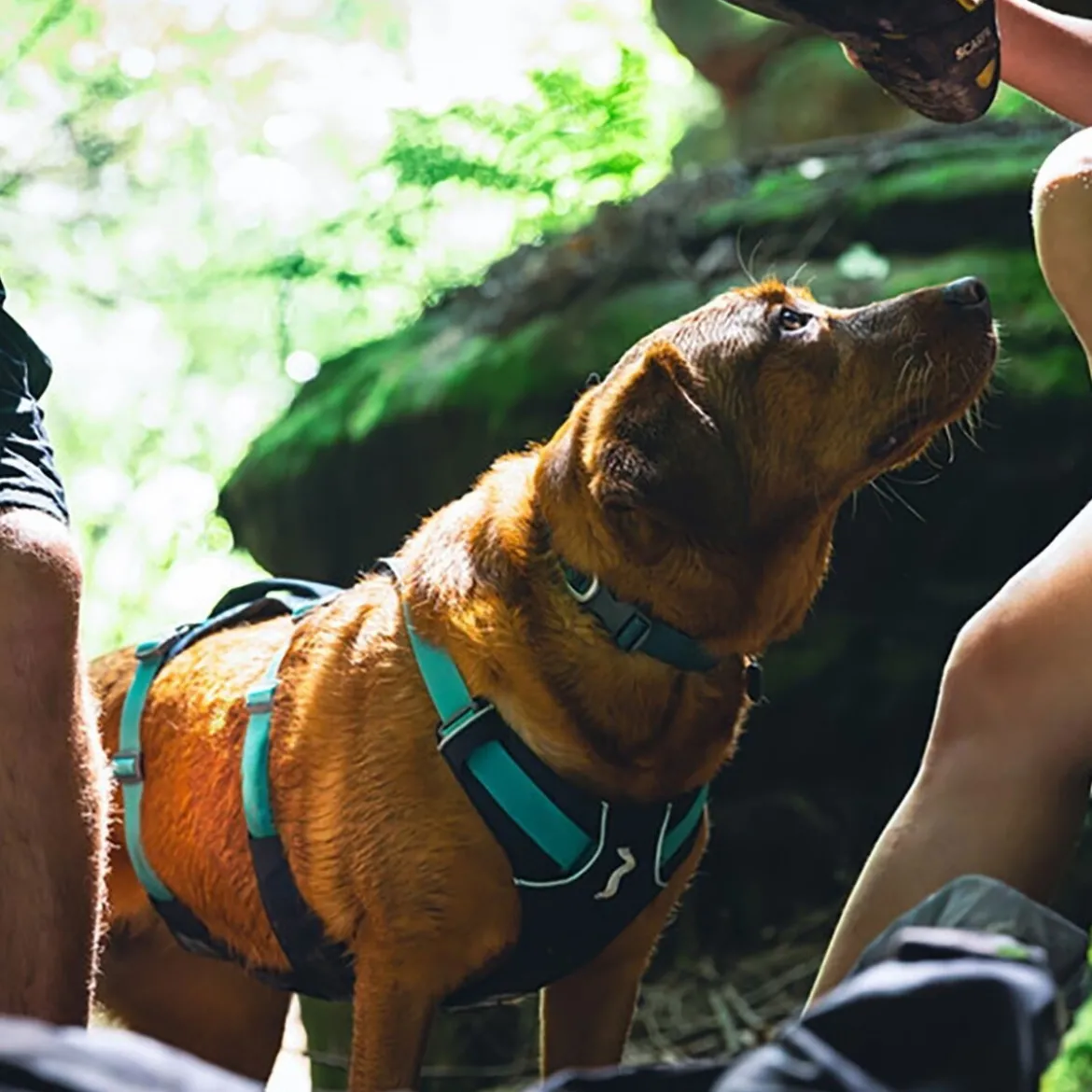 Ruffwear Flagline valjaat, harmaa