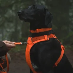 Ruffwear Front Range valjaat, Blaze Orange