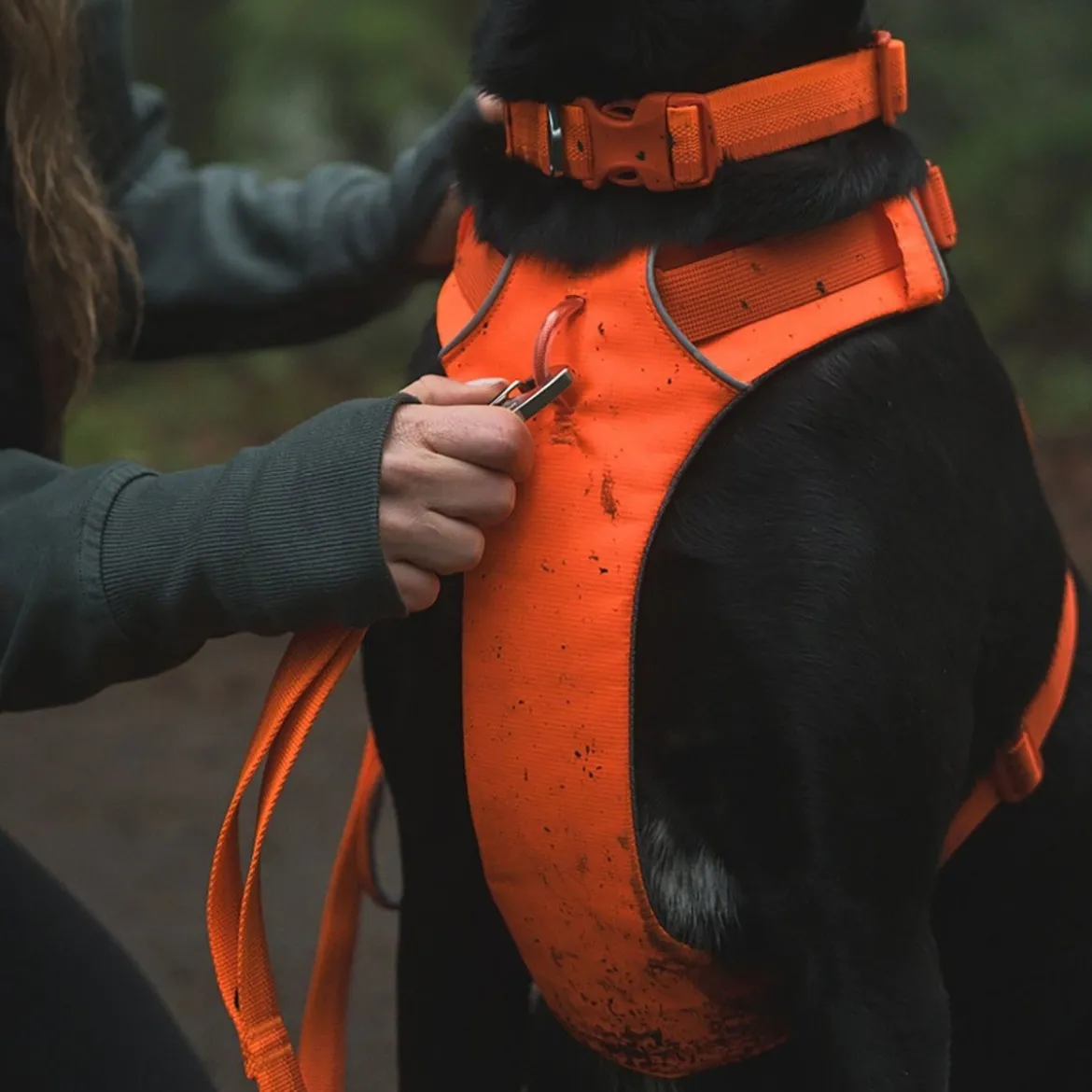 Ruffwear Front Range valjaat, Blaze Orange