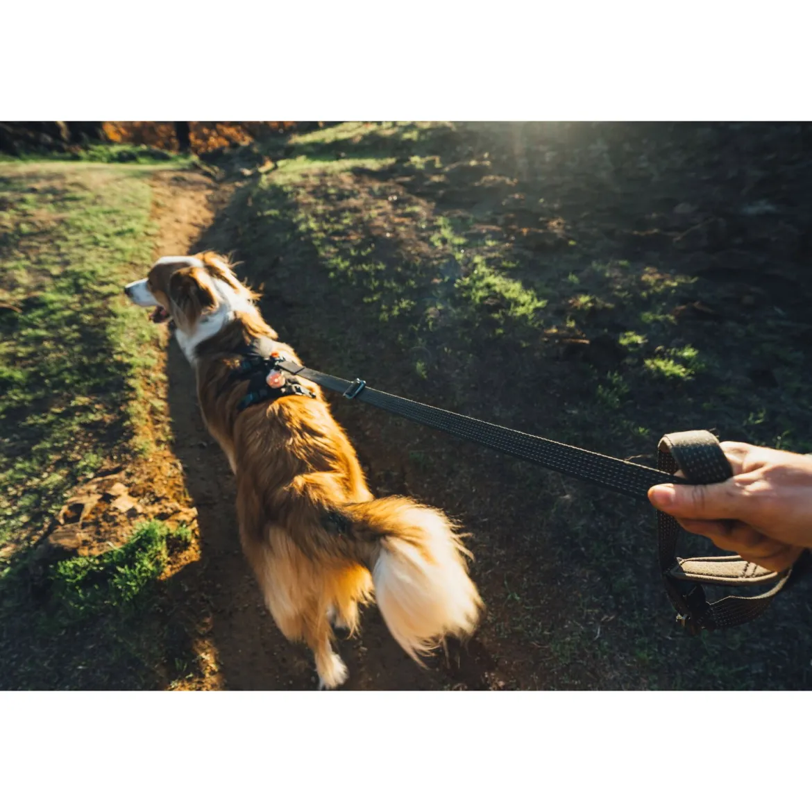 Ruffwear Ridgeline valjaat, Obsidian Black