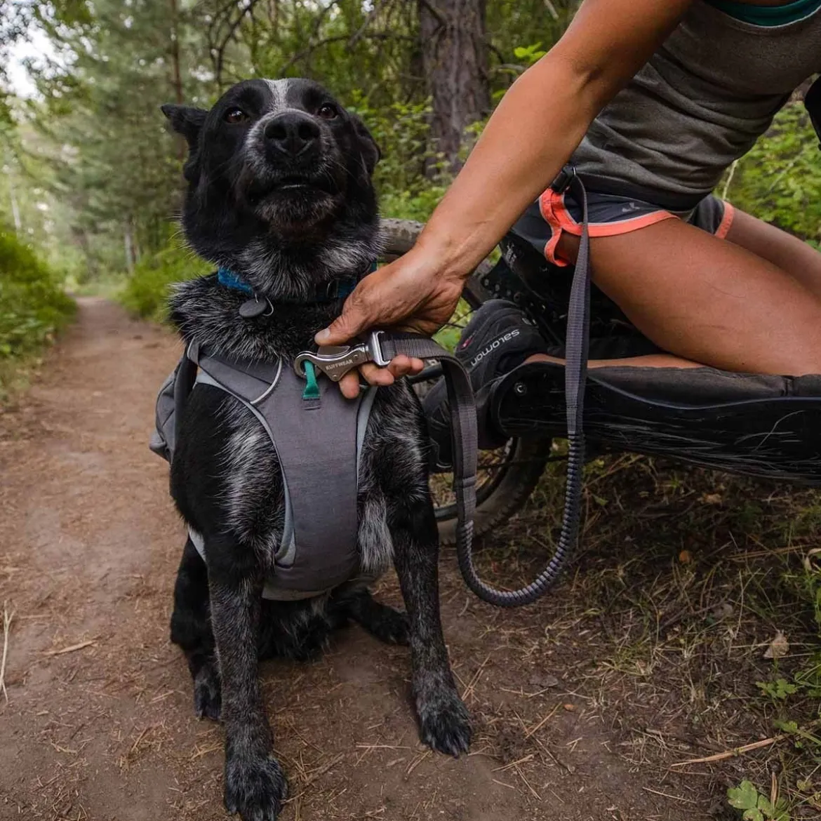 Ruffwear Roamer joustotalutin, harmaa
