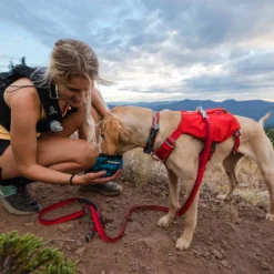 Ruffwear Switchbak -koiran valjaat, punainen