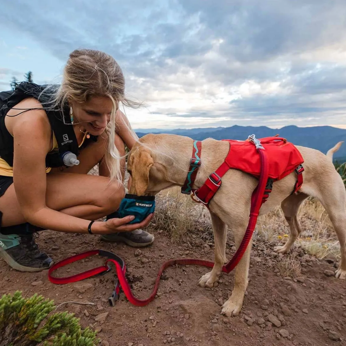 Ruffwear Switchbak -koiran valjaat, punainen