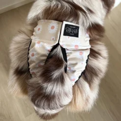 RuttuNuttu juoksupöksyt kietaisumalli, daisies