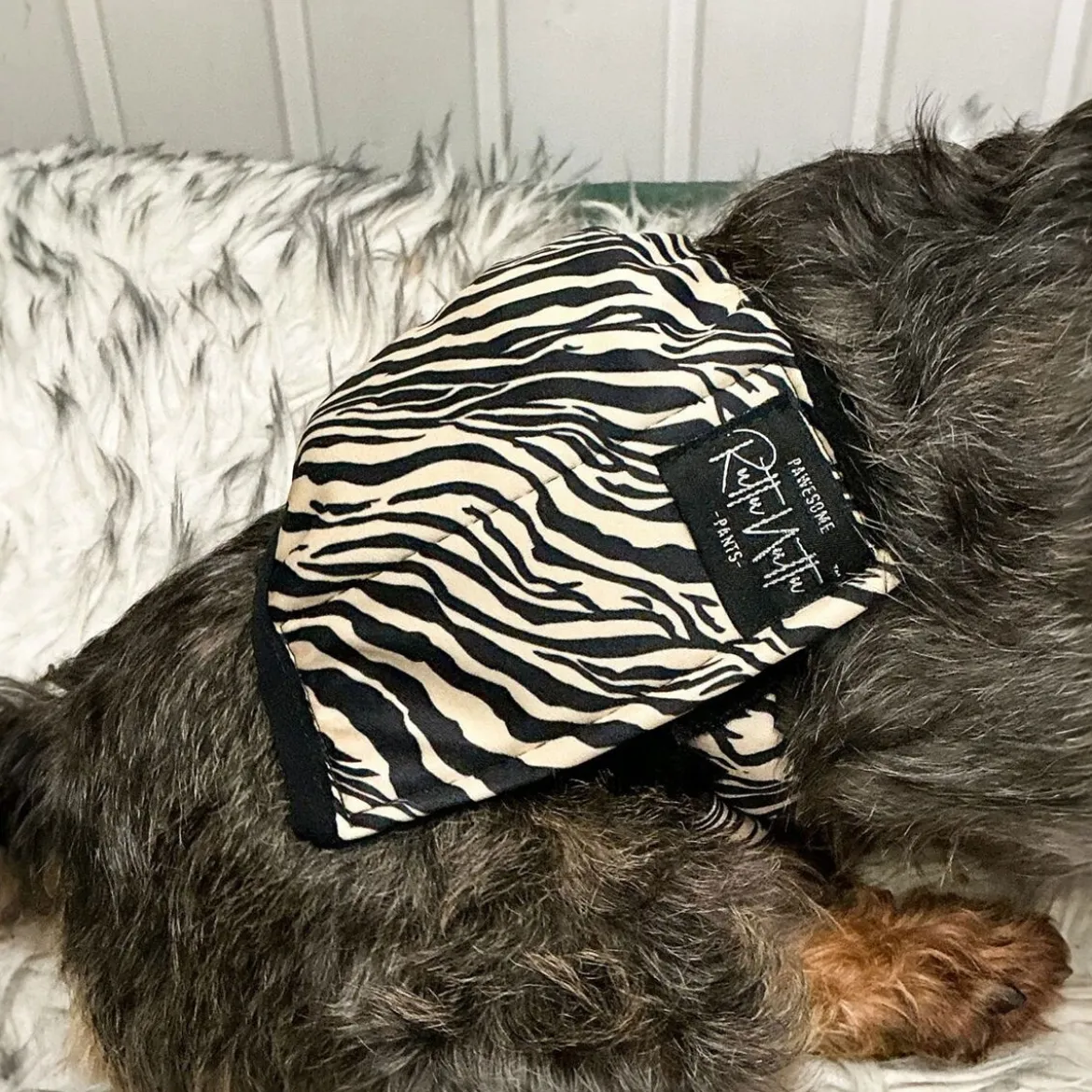 RuttuNuttu urosvyö, zebra