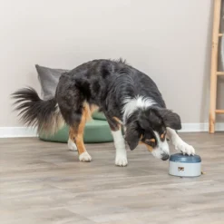 Trixie Dog Activity Buzzer