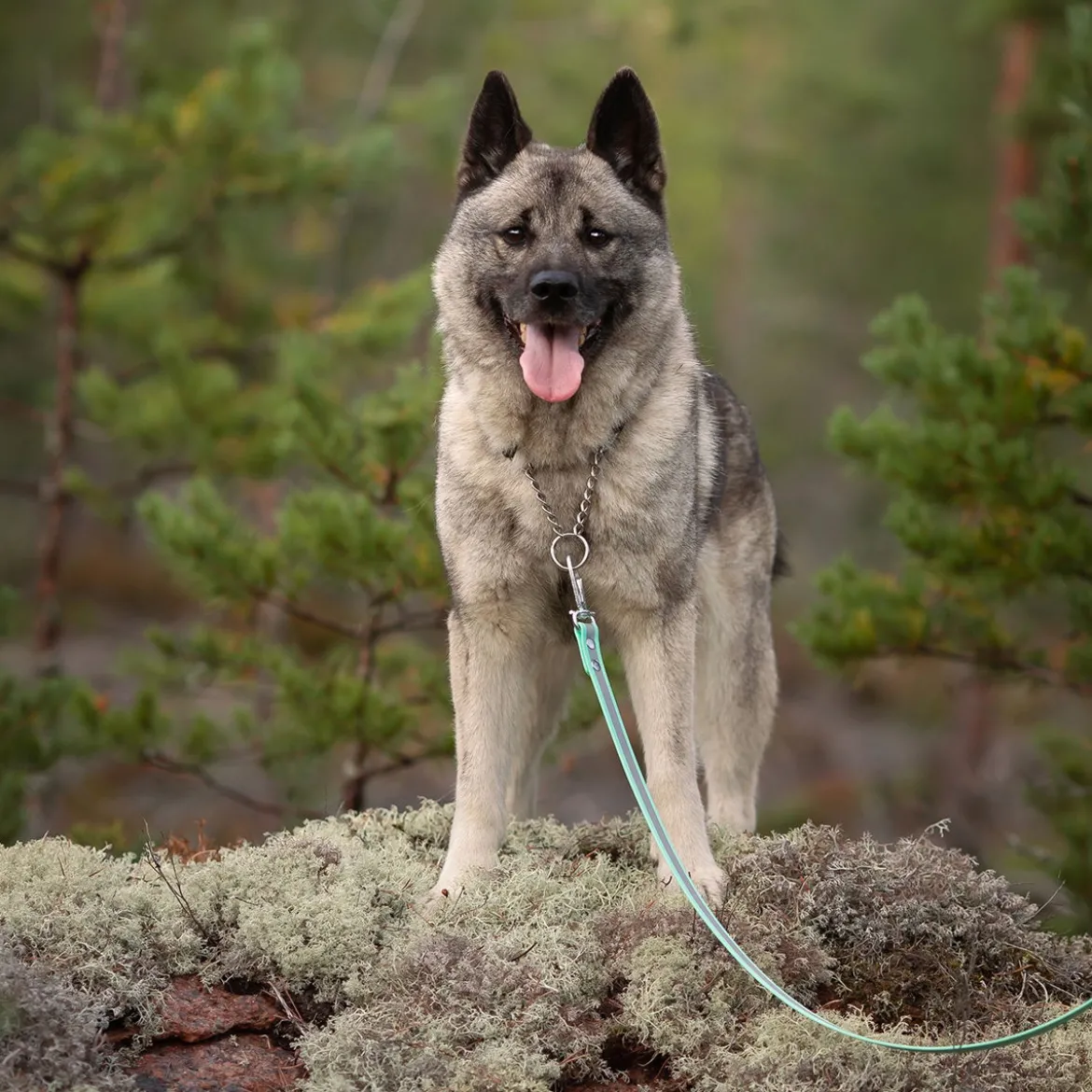 Tyylivoitto Shine Eazy -heijastintalutin, minttu