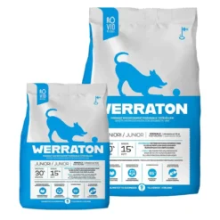 Werraton Juniori